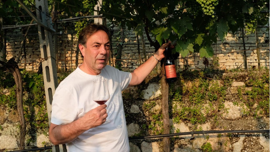 Tim selecting grapes at Corteforte